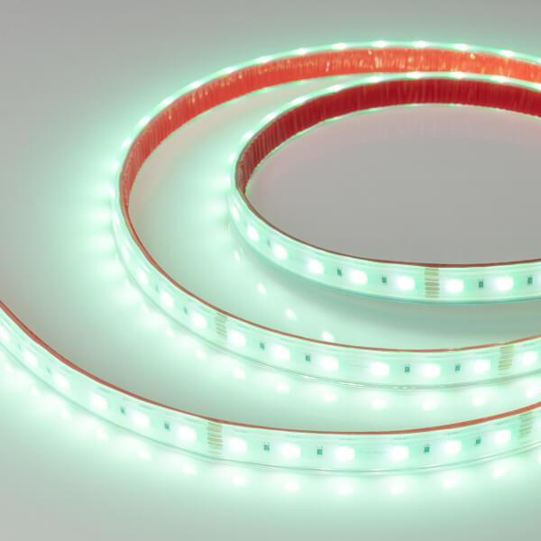 Светодиодная влагозащищенная лента Arlight 19,2W/m 60LED/m 5060SMD разноцветный/холодный белый 5M 034186